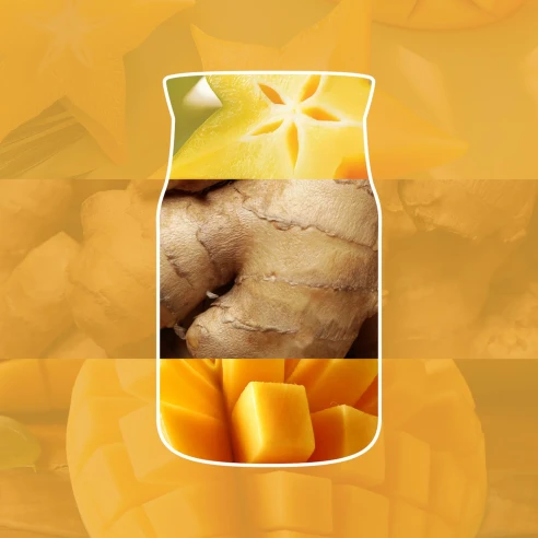 Ingredientes del aroma Starfruit & Sunshine de Yankee Candle