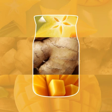 Ingredientes del aroma Starfruit & Sunshine de Yankee Candle