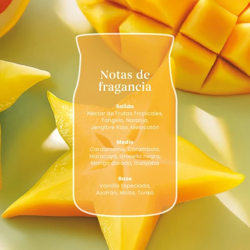 Notas de salida, corazón y fondo de la fragancia Starfruit & Sunshine de Yankee Candle