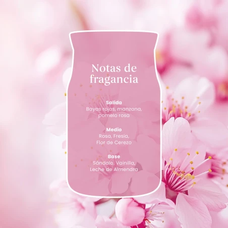 Notas de salida, corazón y fondo de la fragancia Enchanting Cherry Blossom de Yankee Candle