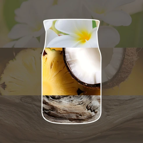 Ingredientes del aroma Black Coconut de Yankee Candle