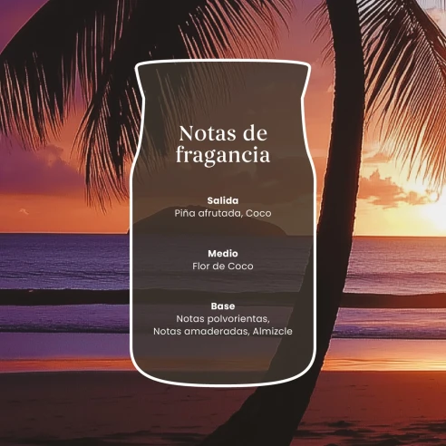 Notas de salida, corazón y fondo de la fragancia Black Coconut de Yankee Candle