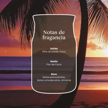 Notas de salida, corazón y fondo de la fragancia Black Coconut de Yankee Candle