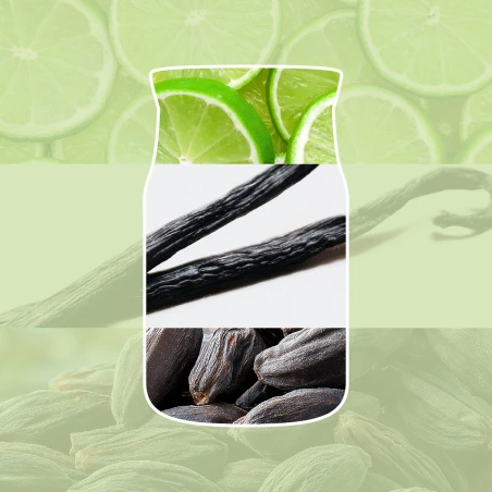 Ingredientes del aroma Vanilla Lime de Yankee Candle