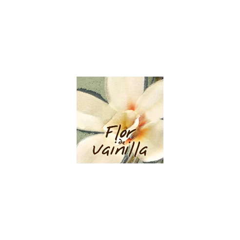 Flor de Vainilla - Petit Mikado 15 ml.