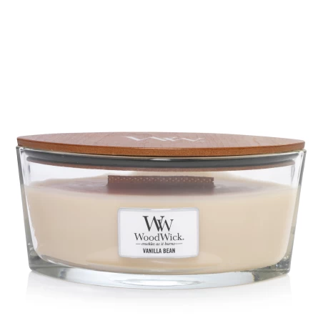 Vanilla Bean - Ellipse