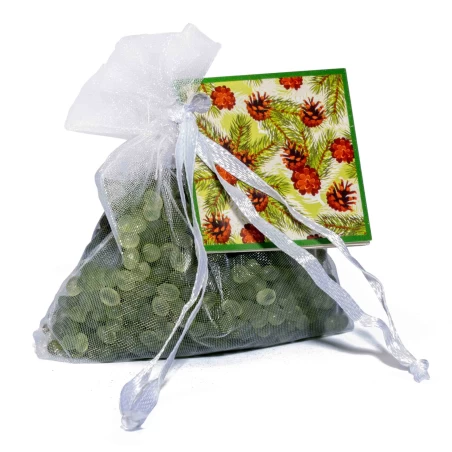 Forest - Mini Resinas Perfumadas