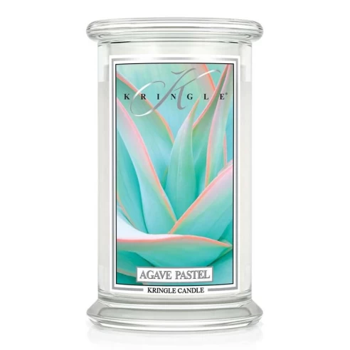 Agave Pastel - Bote Grande Agave Pastel - Bote Grande