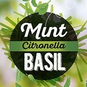 Antimosquitos Mint, Citronella & Basil