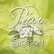 Boles d'olor Pear Blossom