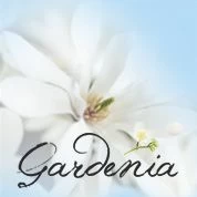 Gardenia