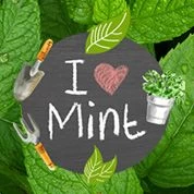 I Love Mint