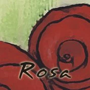 Boles d'olor Rosa