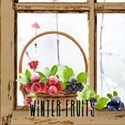 Winter Fruits