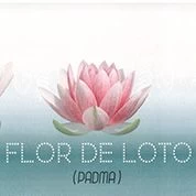 Flor de Loto